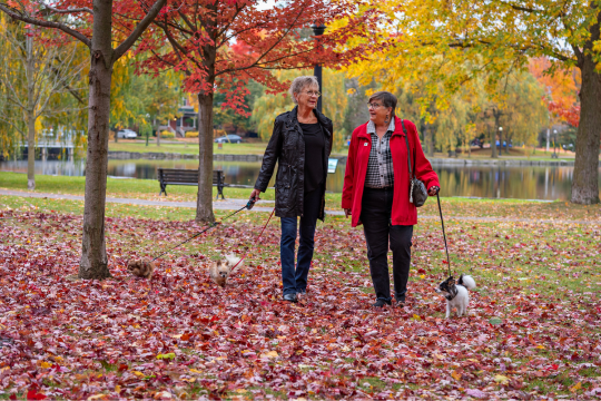 En cette Journée mondiale de la santé mentale, prenons soin de nous tous et toutes mutuellement, et de nous-mêmes. Carol Grieco et Kathy Manzo, toutes deux amies de longue date, promènent leurs chiens à l’extérieur.